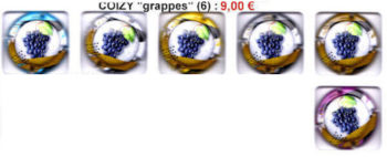 COIZY "GRAPPES"