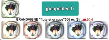 capsules de champagne grandvigne - flute et grappe