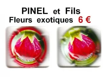 Série de capsules de champagne propriétaire pinel et fils fleurs exotiques