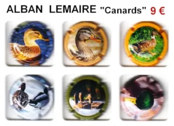 capsules de champagne 2024 alban canards
