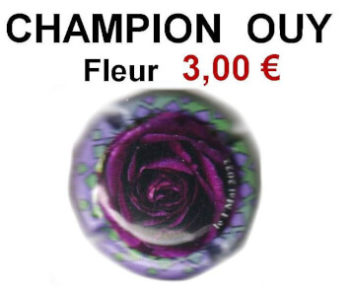 CAPSULE DE CHAMPAGNE CHAMPION OUY "FLEUR"