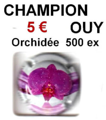 capsule de champagne champion ouy orchidee