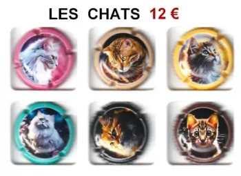 Série de capsules de champagne générique les chats