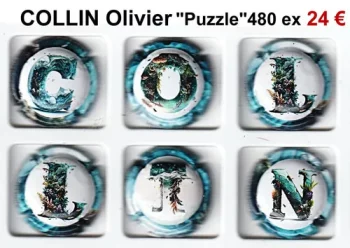 COLLIN OLIVIER "Puzzle" 480 tirages