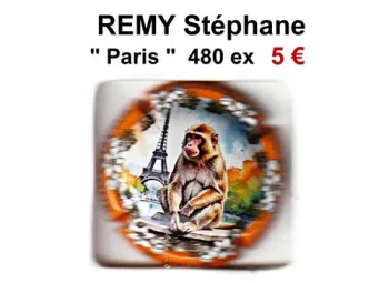 remy staphane - 4840 exemplaires - 1 muselet de capsule de champagne