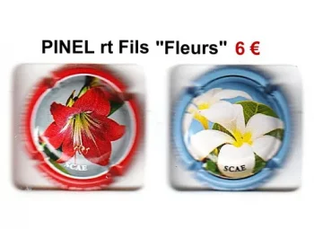 pinel et fils, serie de 2 capsules de champagne, propriétaires
